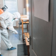 Pest Control Services | Expert Exterminators | Insect Invaders | Pest Control Solutions