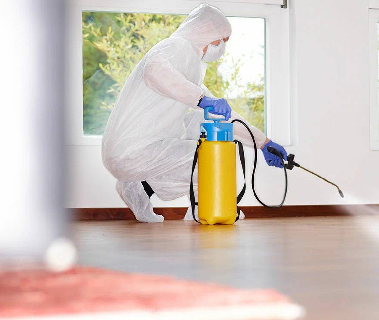 pest removal services